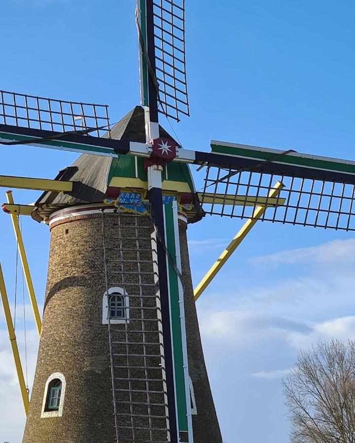 Roosjesweg 2 Gastenkamer Met Parkeerplaats En Terras Eg Domburg Exteriér fotografie
